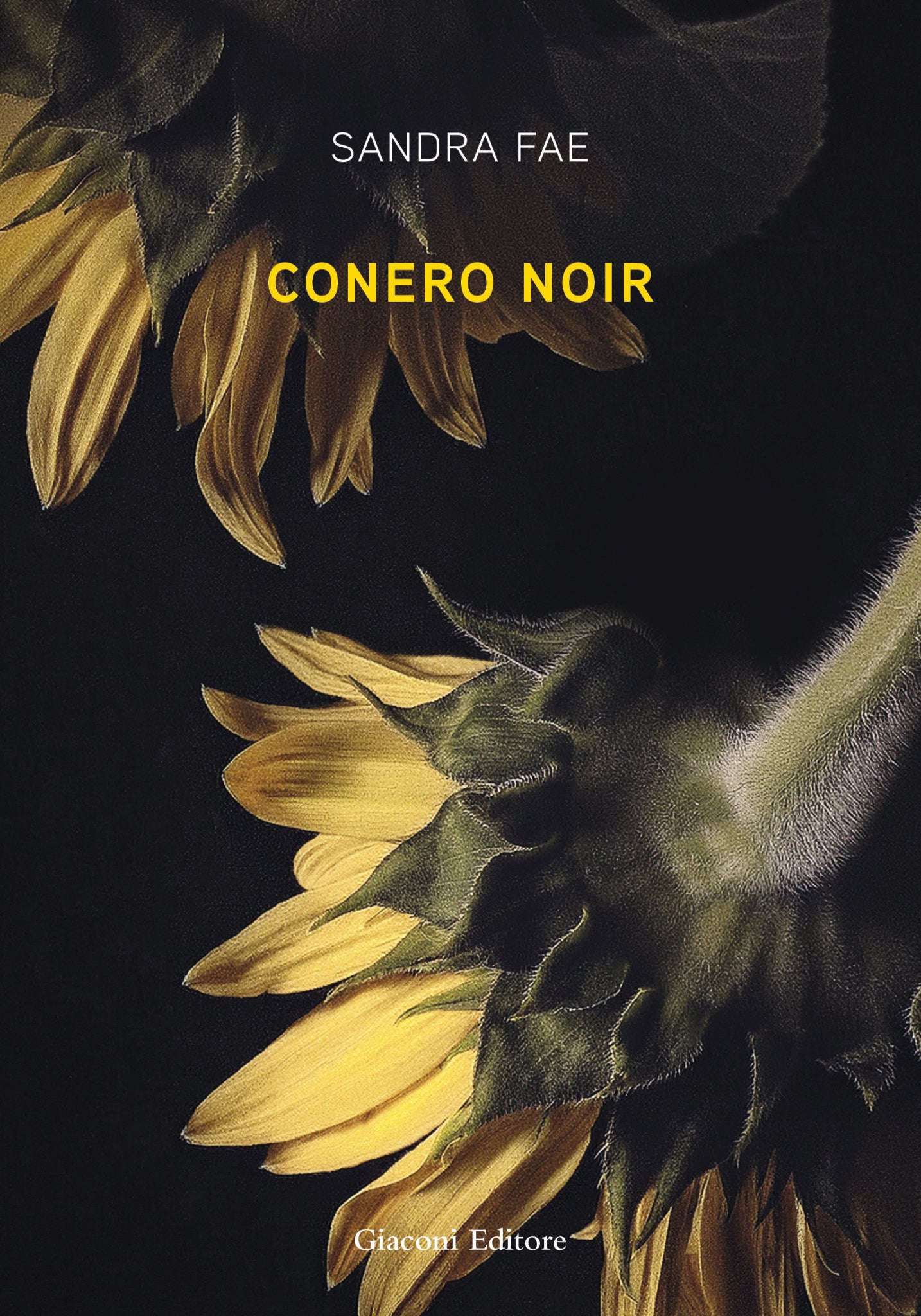 Conero noir