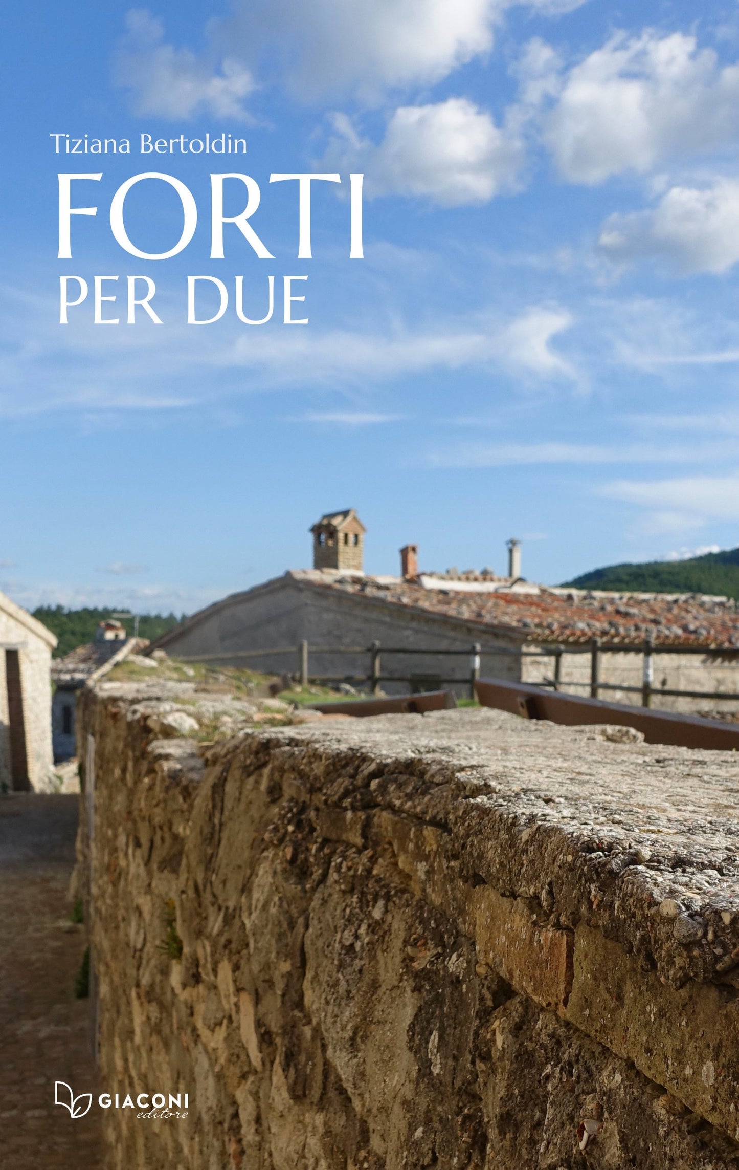 Copertina Forti per ue