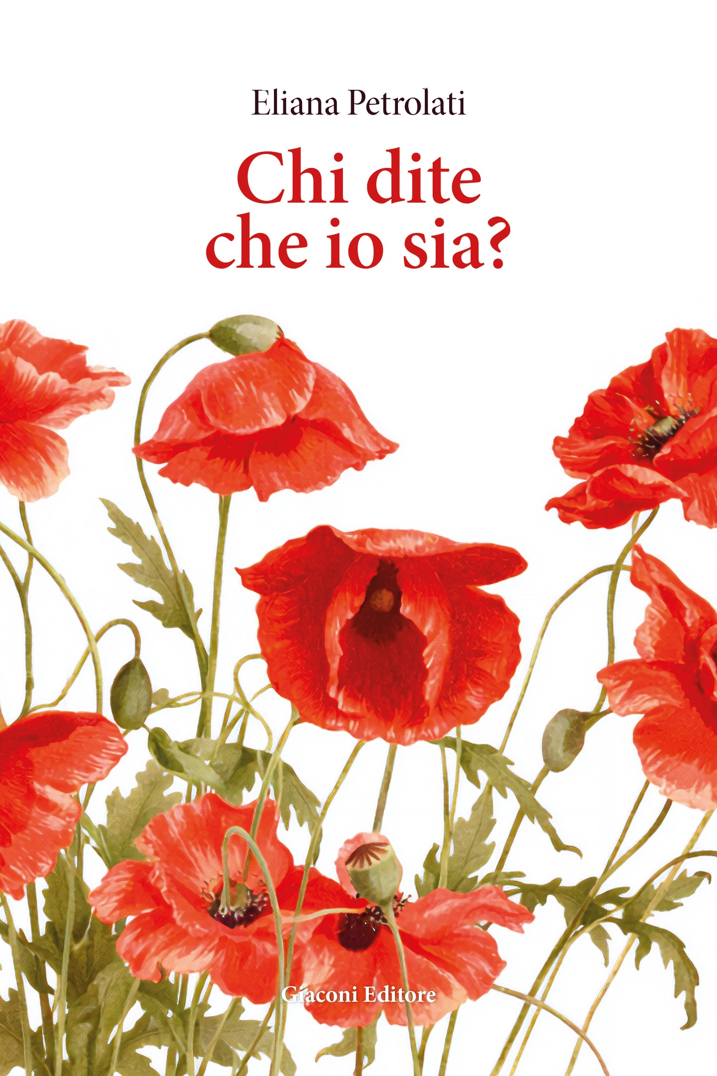 Chi dite che io sia?