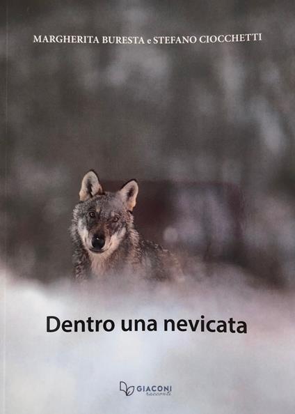 Dentro una nevicata