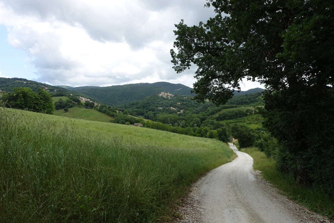 «Forti per due»: sul Cammino dei Forti con Tiziana Bertoldin