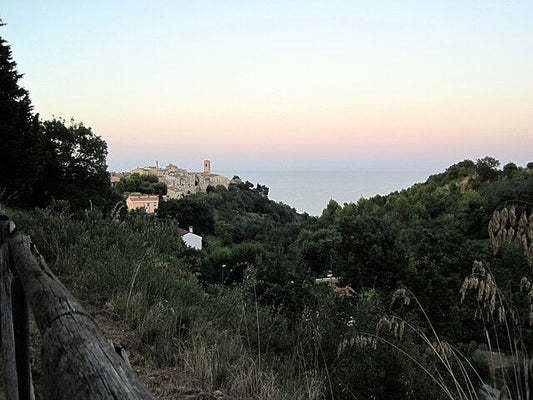 I castelli delle Marche: sentinelle di pietra tra storia e leggenda