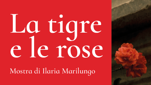 La Tigre e le Rose: la mostra di Ilaria Marilungo alla Piccola Libreria delle Marche