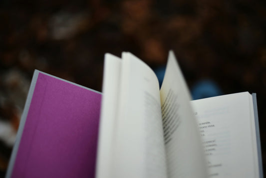 Dal manoscritto al libro: le tappe del percorso editoriale