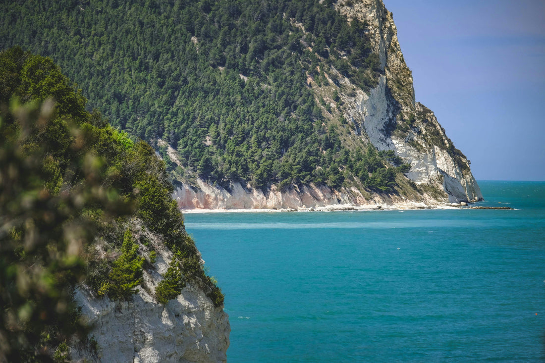 Un'estate in giallo sul Conero