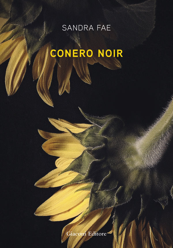 Copertina di Conero noir di Sandra Fae