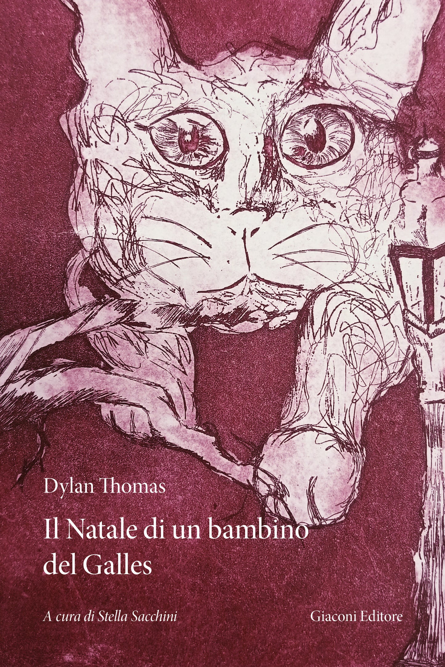 Il Natale di un bambino del Galles